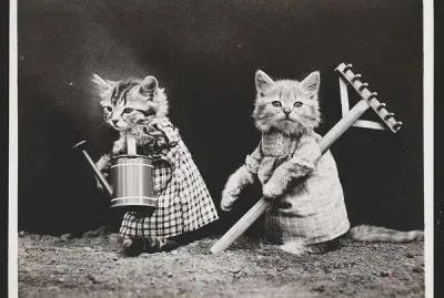 פאזל של cultivando