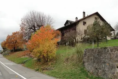 Automne