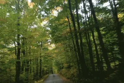 Vermont