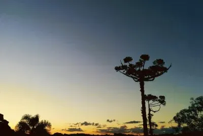 Belezas do ParanÃ¡