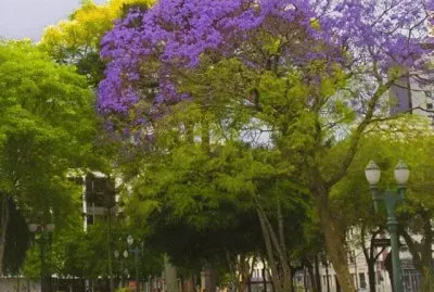 פאזל של ParanÃ¡