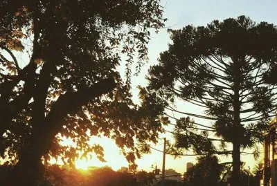 ParanÃ¡