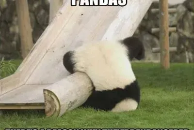 PANDA JUGUETON jigsaw puzzle