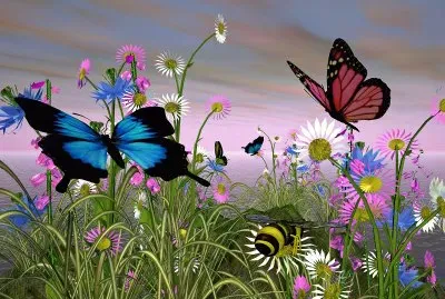 disegno con farfalle