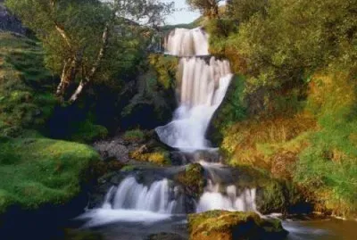 jan7 jigsaw puzzle