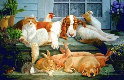 animais