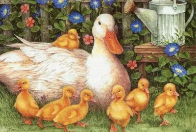 patos