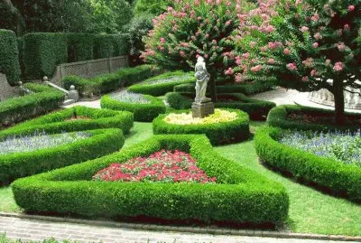 jardim