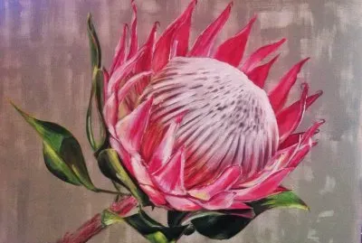 פאזל של Protea Painting