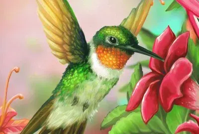 Hummingbird Paint