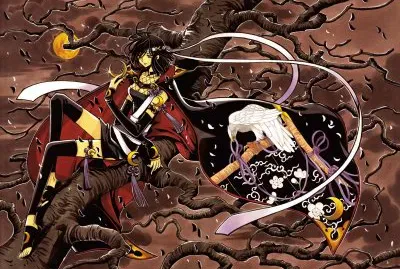 Tsubasa Reservoir Chronicle 13