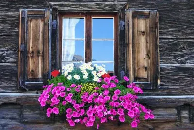 Ventana con flores 2