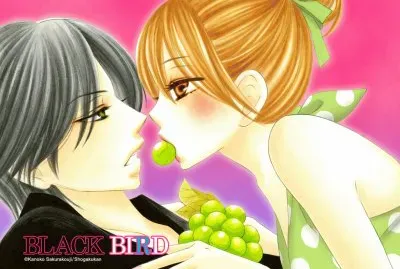 Black Bird 13