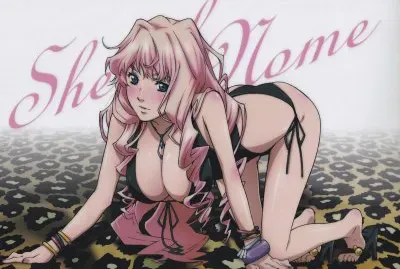 Macross Frontier 30 jigsaw puzzle