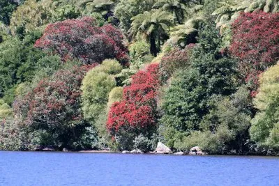 פאזל של Lake Tarawera