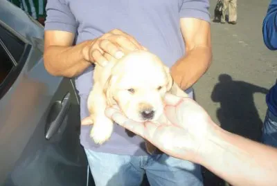 En las manos, 25 dÃ­as de nacido