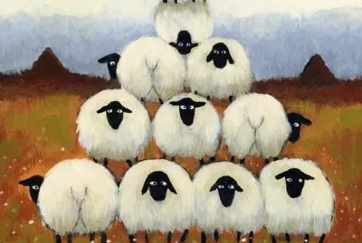 Pretty Sheeps in a row by Thomas Joseph