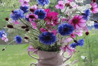 flores