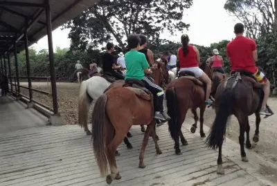 Cabalgata Parque del Cafe Colombia jigsaw puzzle