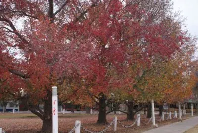 Campo de la Gloria in cloudy autumn