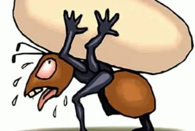 PESADITO