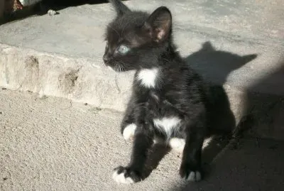 Curious