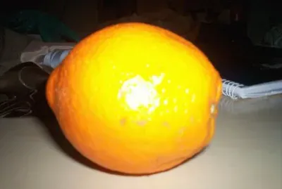 The  "lemon look-a-like " orange