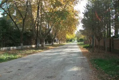 פאזל של Street in may