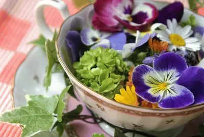 פאזל של flores