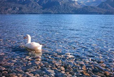 פאזל של Lago Traful. NeuquÃ©n. Argentina