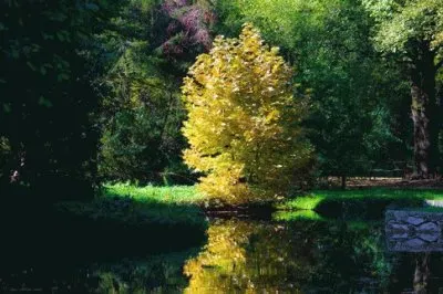 Simeria. Rumania jigsaw puzzle