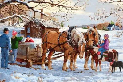 Winter in the USA by Clayton Weirs