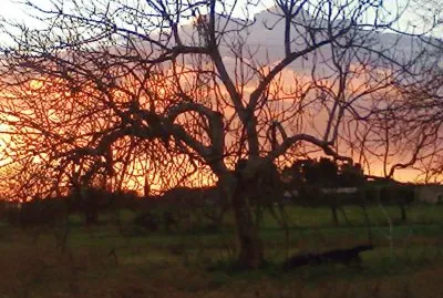 tramonto