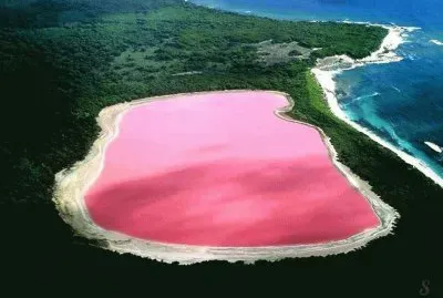 פאזל של Lago Rosa. Australia