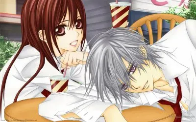 Vampire Knight 4