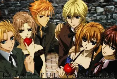Vampire Knight 9