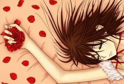 Vampire Knight 78