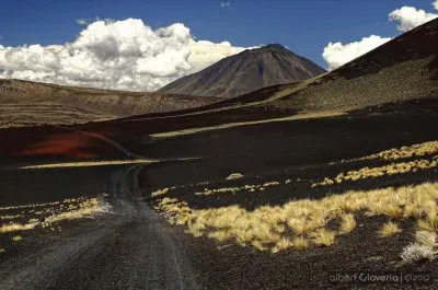 La Payunia. Mendoza. Argentina
