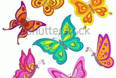 mariposa jigsaw puzzle