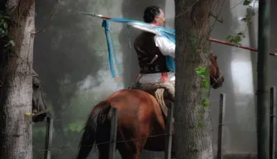 Tomada en JunÃ­n de los Andes. NeuquÃ©n. Argentina