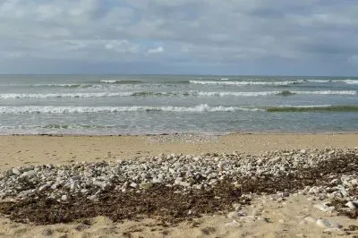 Ile de RÃ© jigsaw puzzle