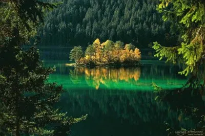 פאזל של NÂº 562