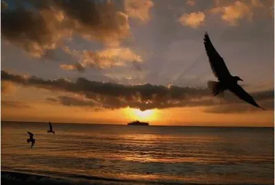 Atardecer