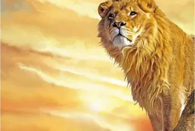 LeÃ³n
