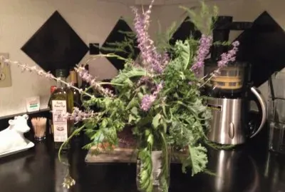 Herbs from my garden