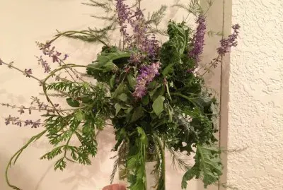 פאזל של Herbs from my garden