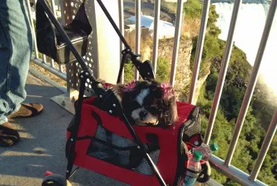 Basia At Niagra Falls jigsaw puzzle