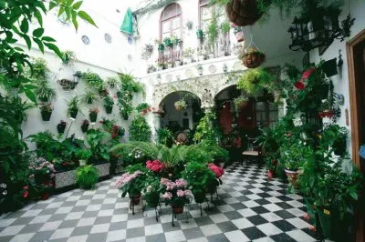 jardim jigsaw puzzle