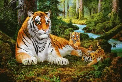 tigres