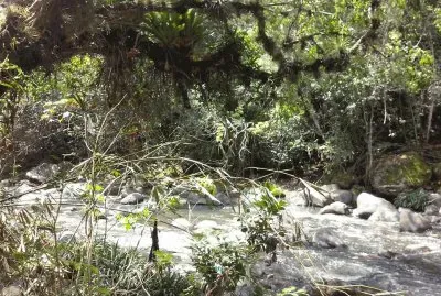 Diferentes tipos de fotos